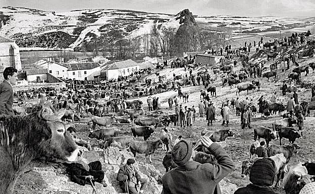 Imagen principal - Una muestra de las exposiciones 'La Estampa Japonesa y la Belle Epoque' y 'Piedad Isla. Un testimonio fotográfico', que se pueden disfrutar este fin de semana en Valladolid.