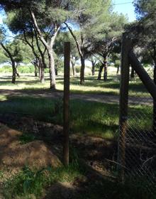 Imagen secundaria 2 - Estado del comerdo (arriba) y de la nave vacía en la que han abierto un butrón (debajo). A la derecha, uno de los puntos de acceso al recinto.