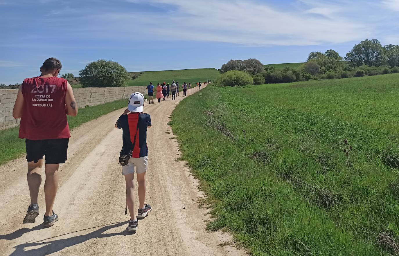 Algunos de los participantes en una de las rutas planteadas en el entorno de Boceguillas..