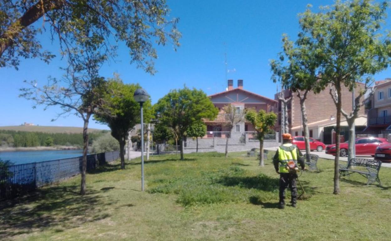 Trabajos de mantenimiento en zonas verdes y parques 