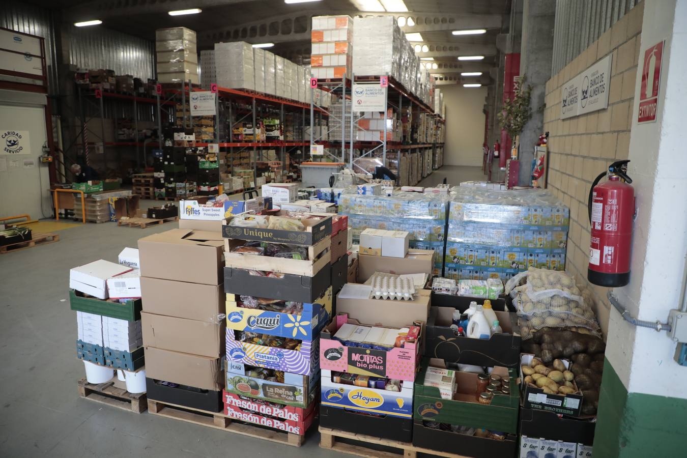 Fotos: El Banco de Alimentos de Valladolid lanza una campaña para llenar sus despensas