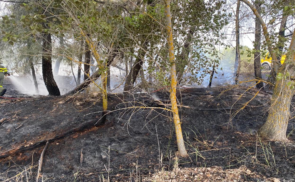 Efectos del fuego del pasado sábado en Portillo.