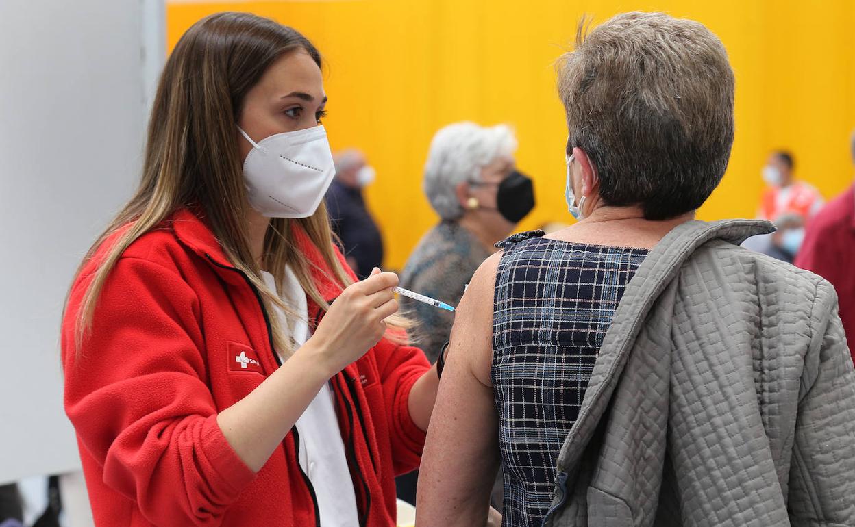 Vacunación en Campos Góticos.
