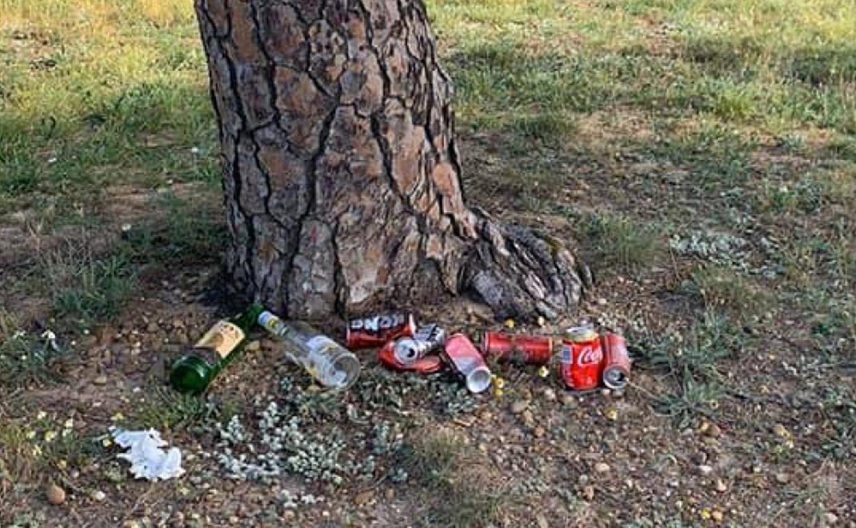 Latas de cerveza y botellas vacías en un parque de Nava del Rey. 