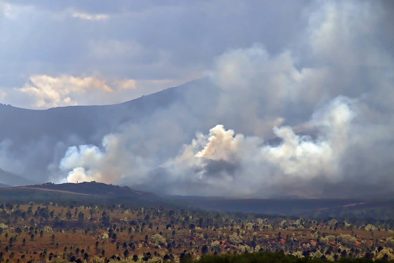 Efectivos y medios de Junta y de la Unidad Militar de Emergencias trabajan en la extinción del incendio.