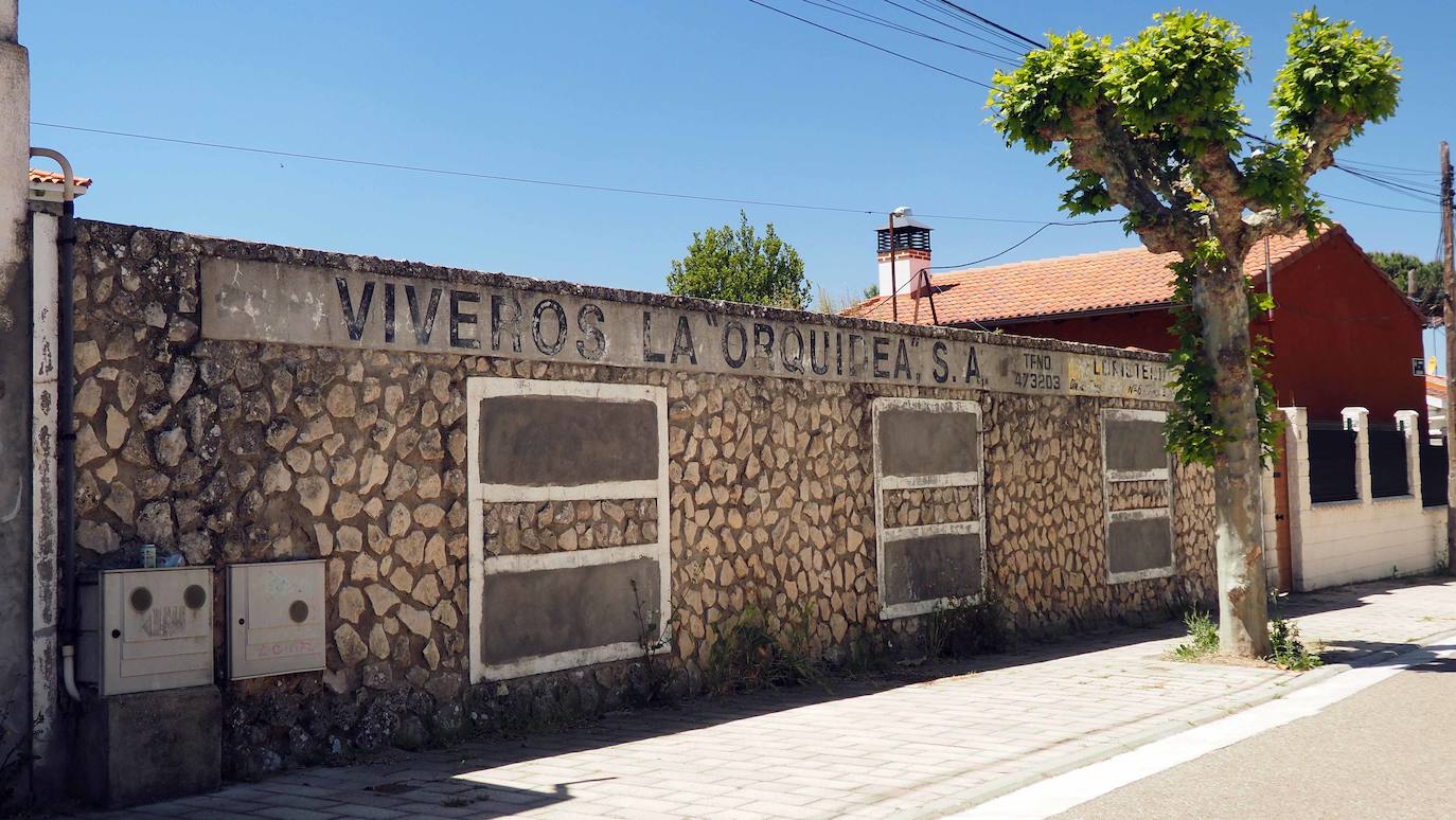 La primera edificación del Pinar de Antequera se realizó a principios del siglo XX