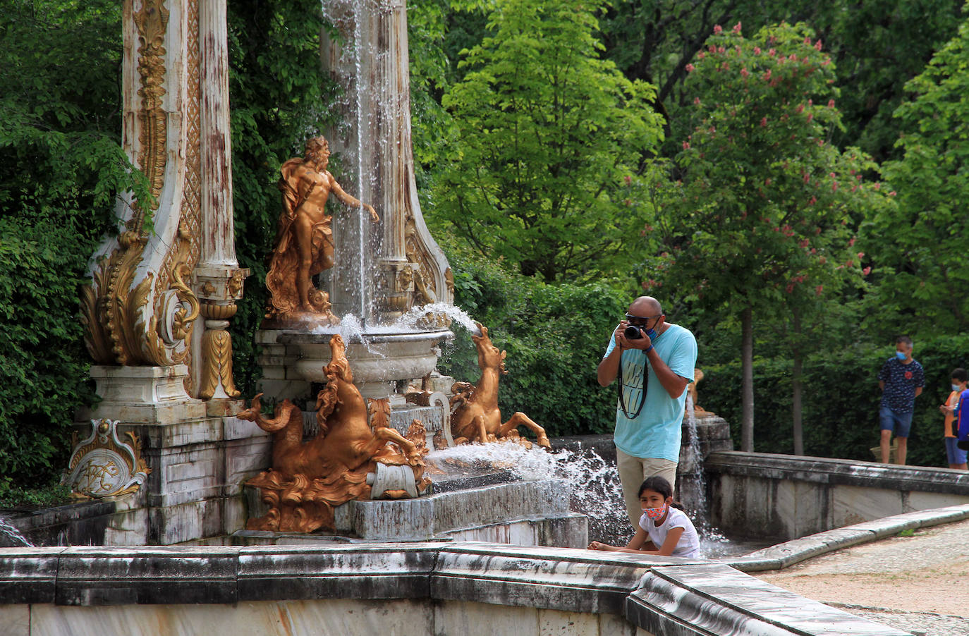 La fuente de las Ranas, en pleno apogeo de su coreografía acuática este domingo en La Granja. 