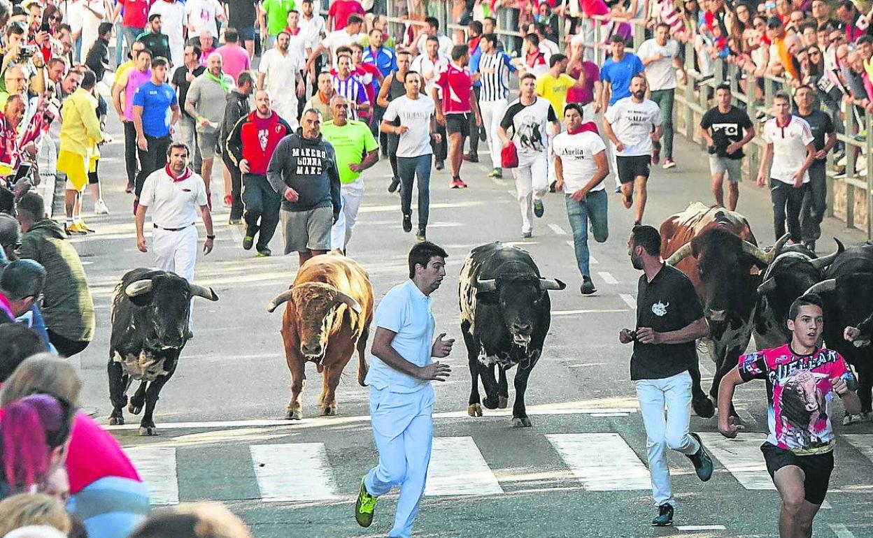 Últimos encierros que tuvieron lugar en Cuéllar, en el verano de 2019. 