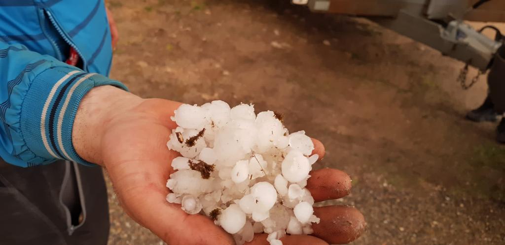 Granizo en la zona de Moradillo y Pardilla (Burgos) en la Ribera del Duero