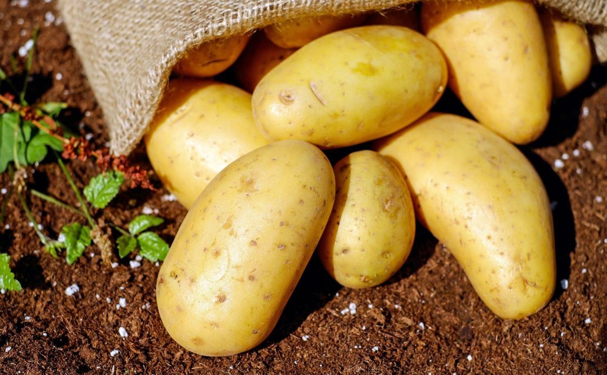 Patatas, un amigo de América en nuestra cocina