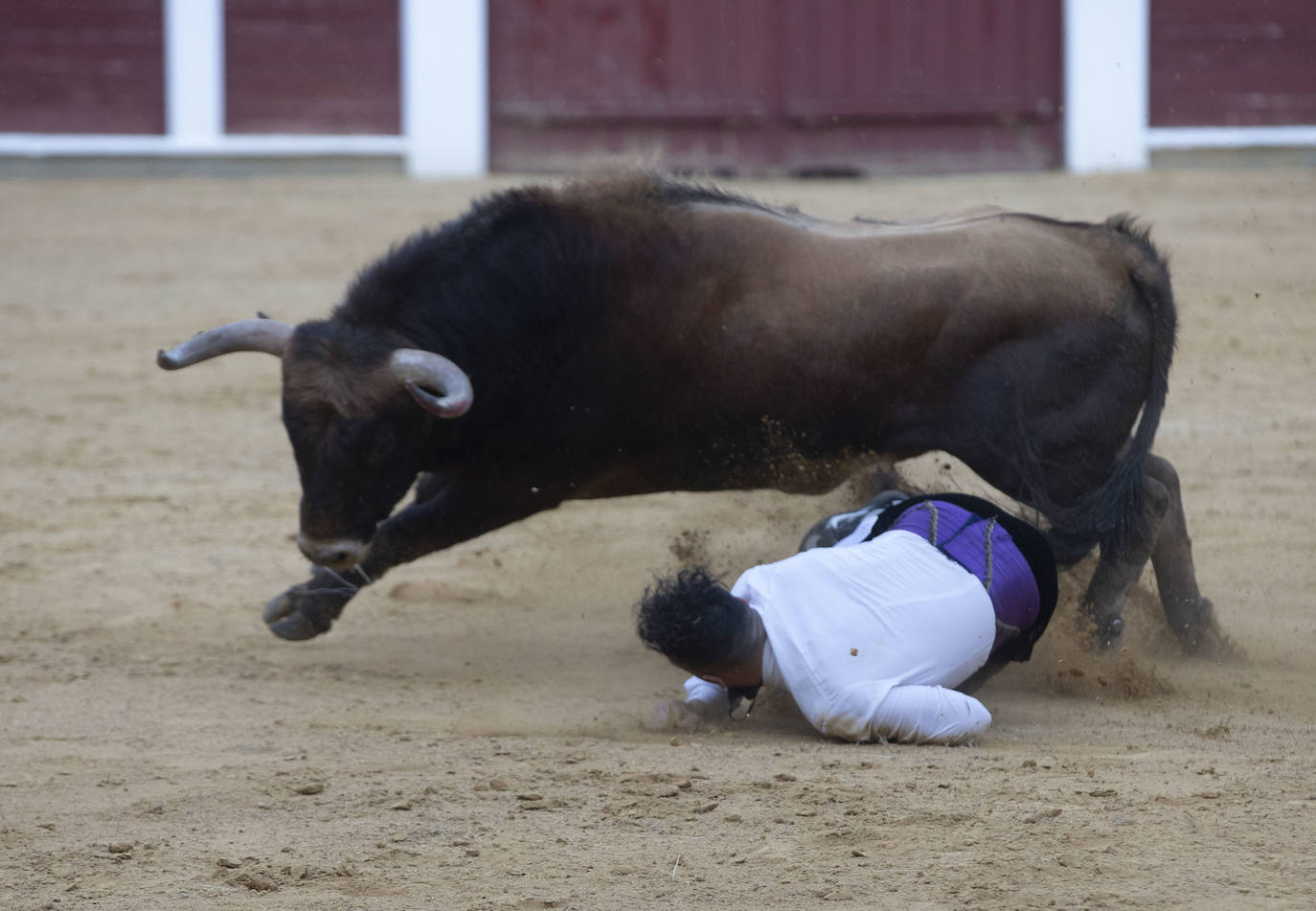 Fotos: Concurso de cortes en la Plaza de Toros de Valladolid