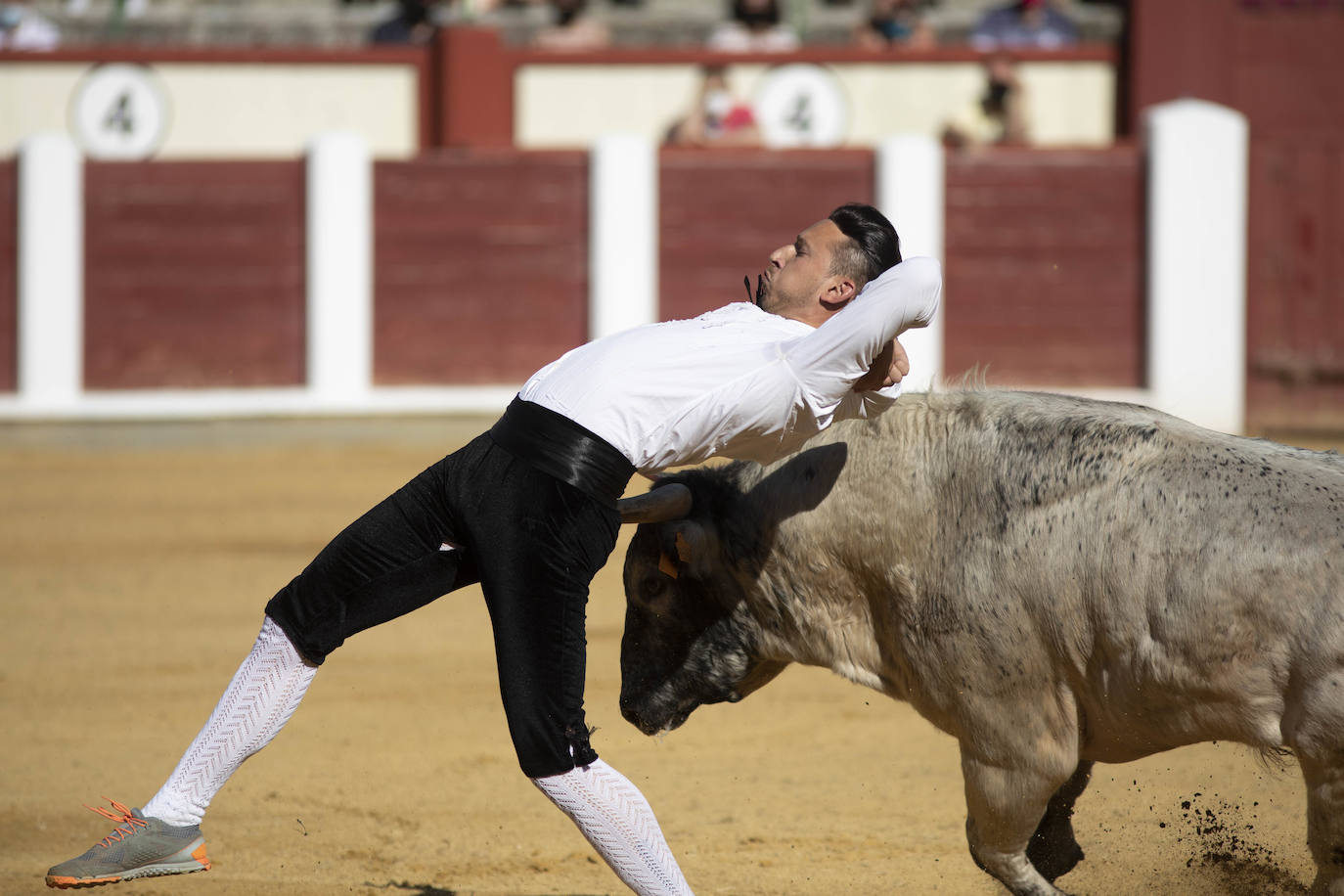 Fotos: Concurso de cortes en la Plaza de Toros de Valladolid