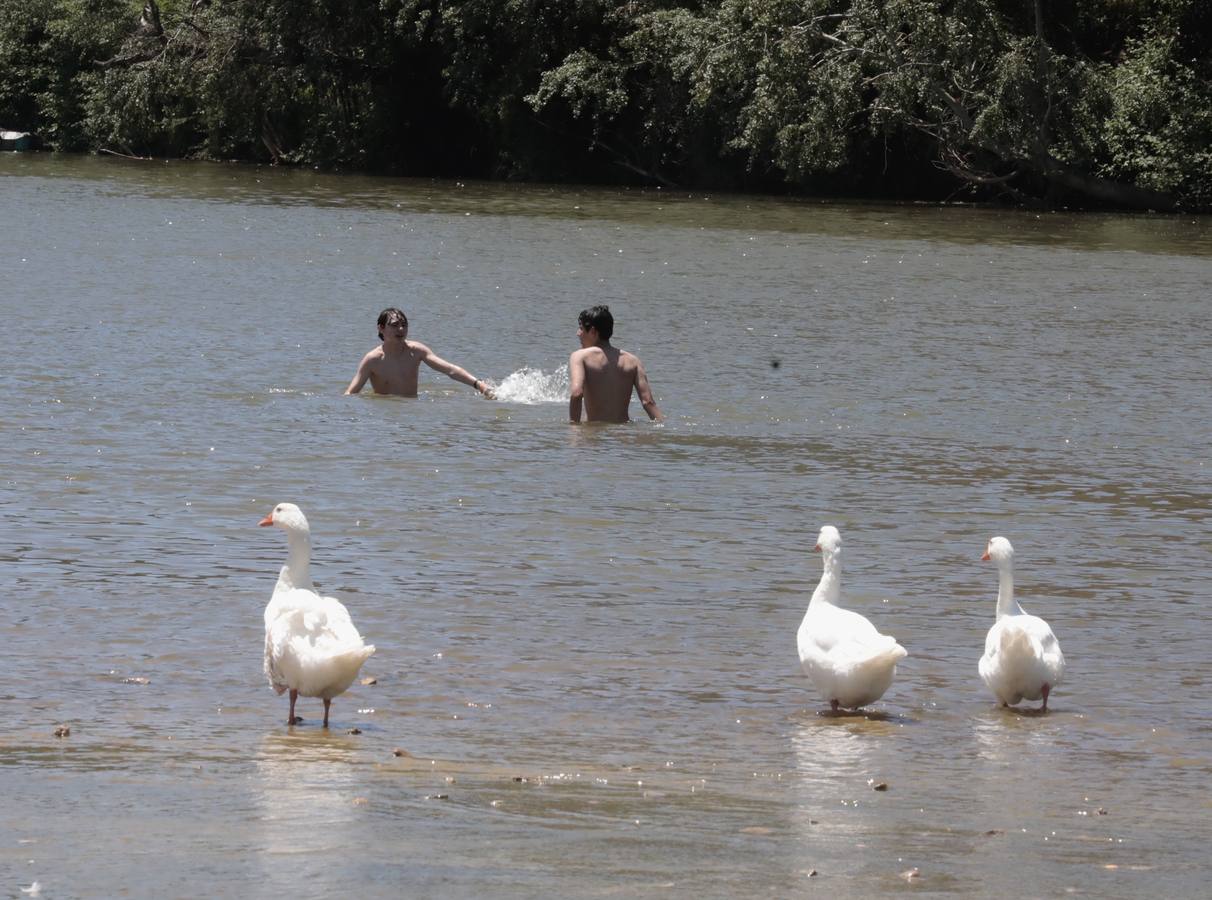 Fotos: Valladolid se acerca a los 35 grados