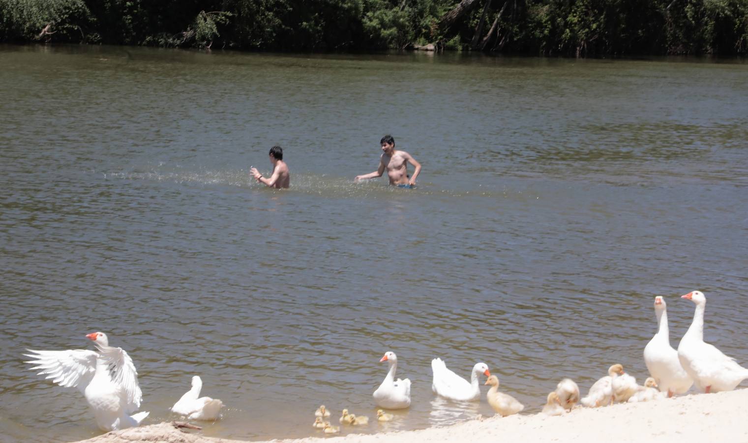 Fotos: Valladolid se acerca a los 35 grados