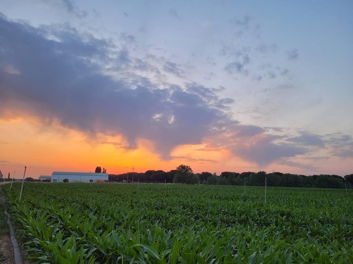 Fotos: Segunda jornada del XI Campeonato de España de Agua Dulce con cebador celebrada en San Miguel del Pino