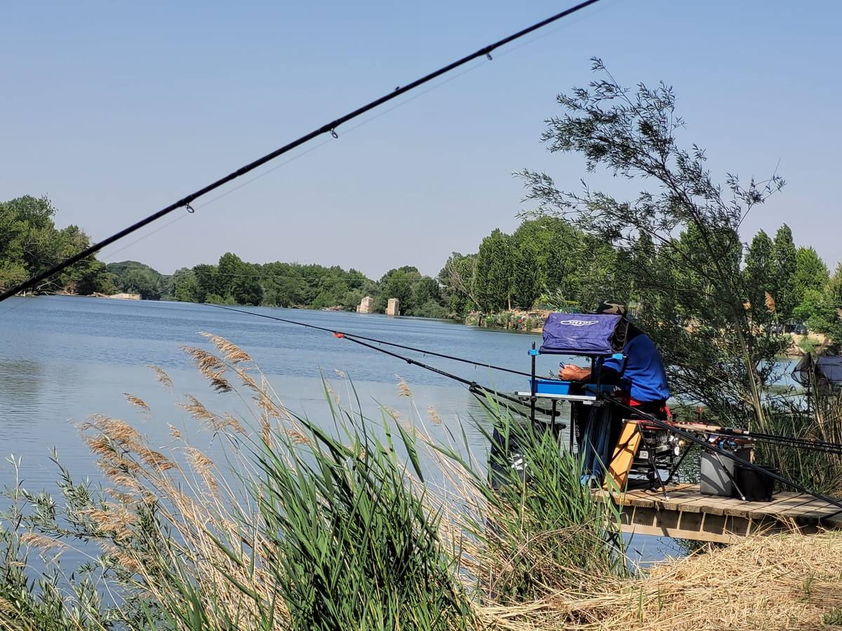 Fotos: Segunda jornada del XI Campeonato de España de Agua Dulce con cebador celebrada en San Miguel del Pino