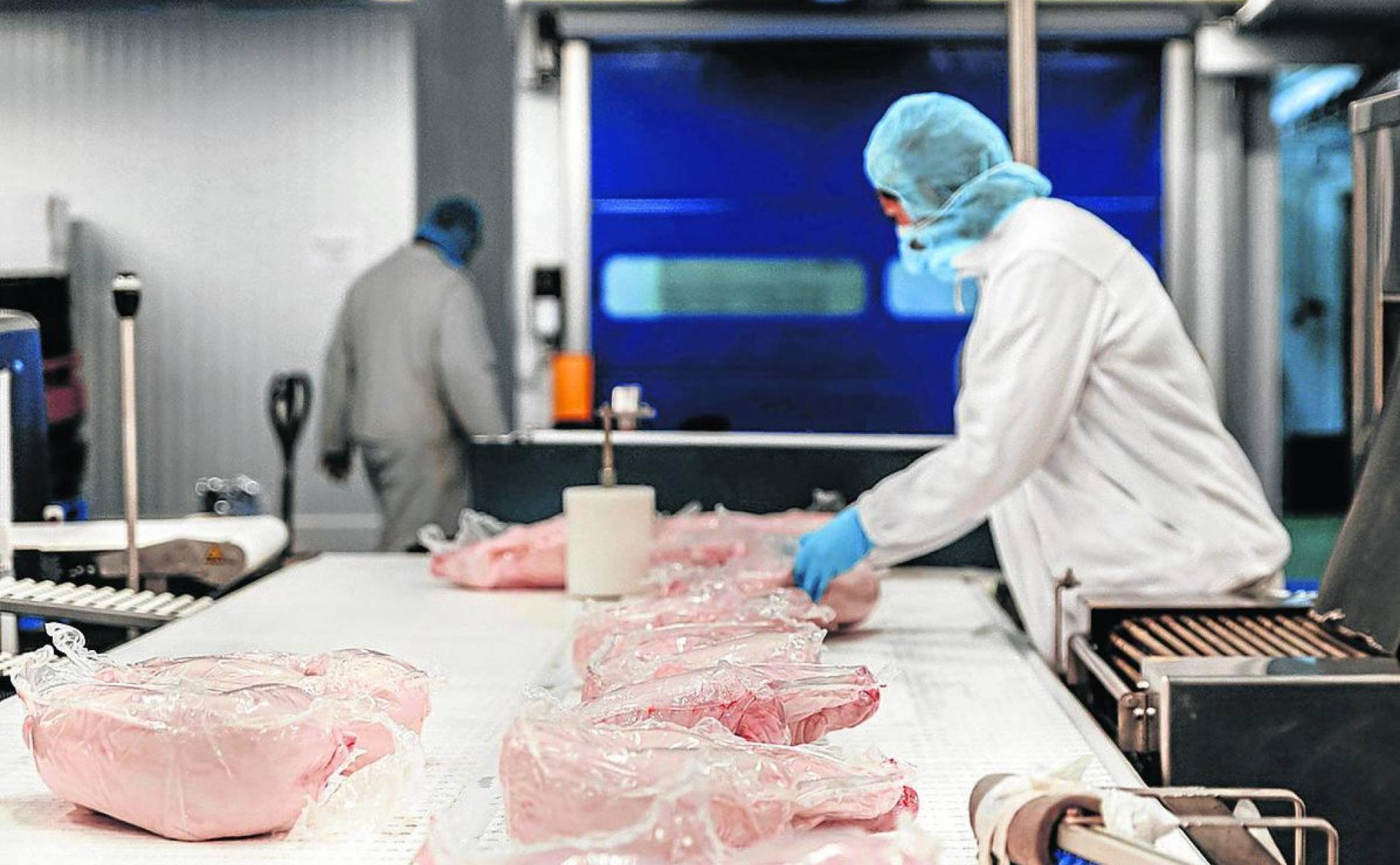 Línea de producción en Cárnicas Tabladillo. 