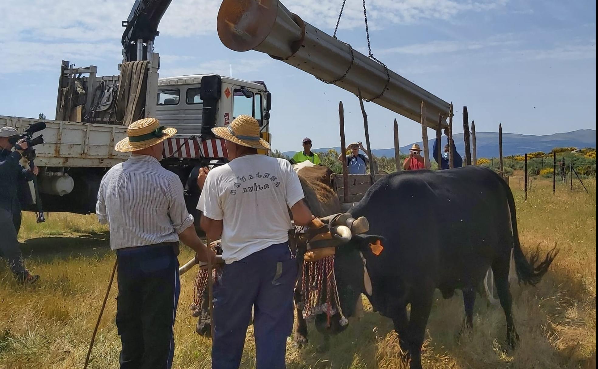 La columna fue llevada hasta el Cerro Gallinero con una yunta de bueyes.