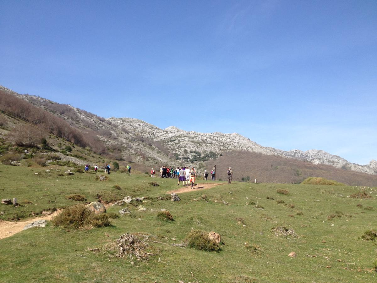 Fotos: Escapada a la Montaña Palentina: la magia de la Tejeda de Tosande