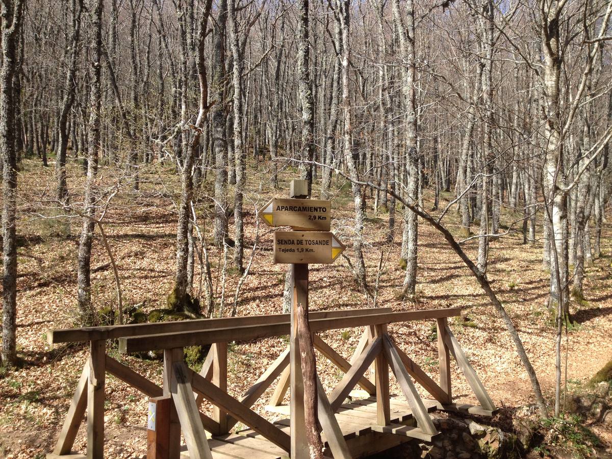 Fotos: Escapada a la Montaña Palentina: la magia de la Tejeda de Tosande