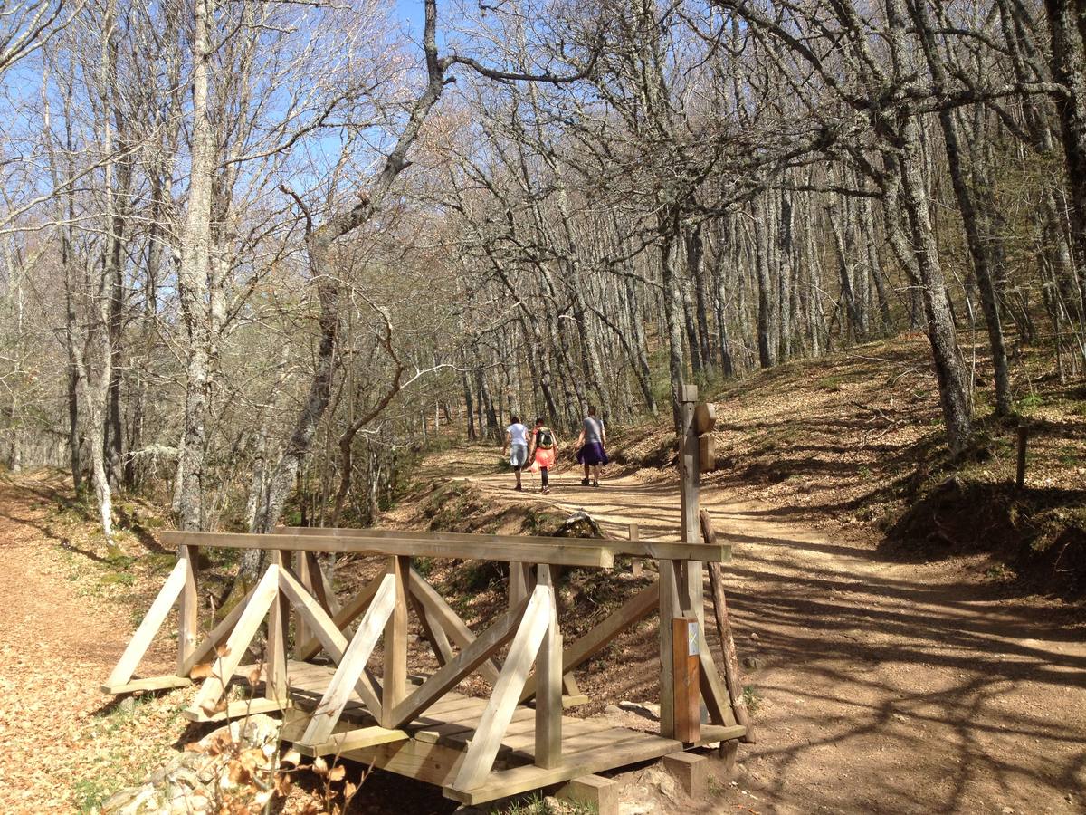 Fotos: Escapada a la Montaña Palentina: la magia de la Tejeda de Tosande