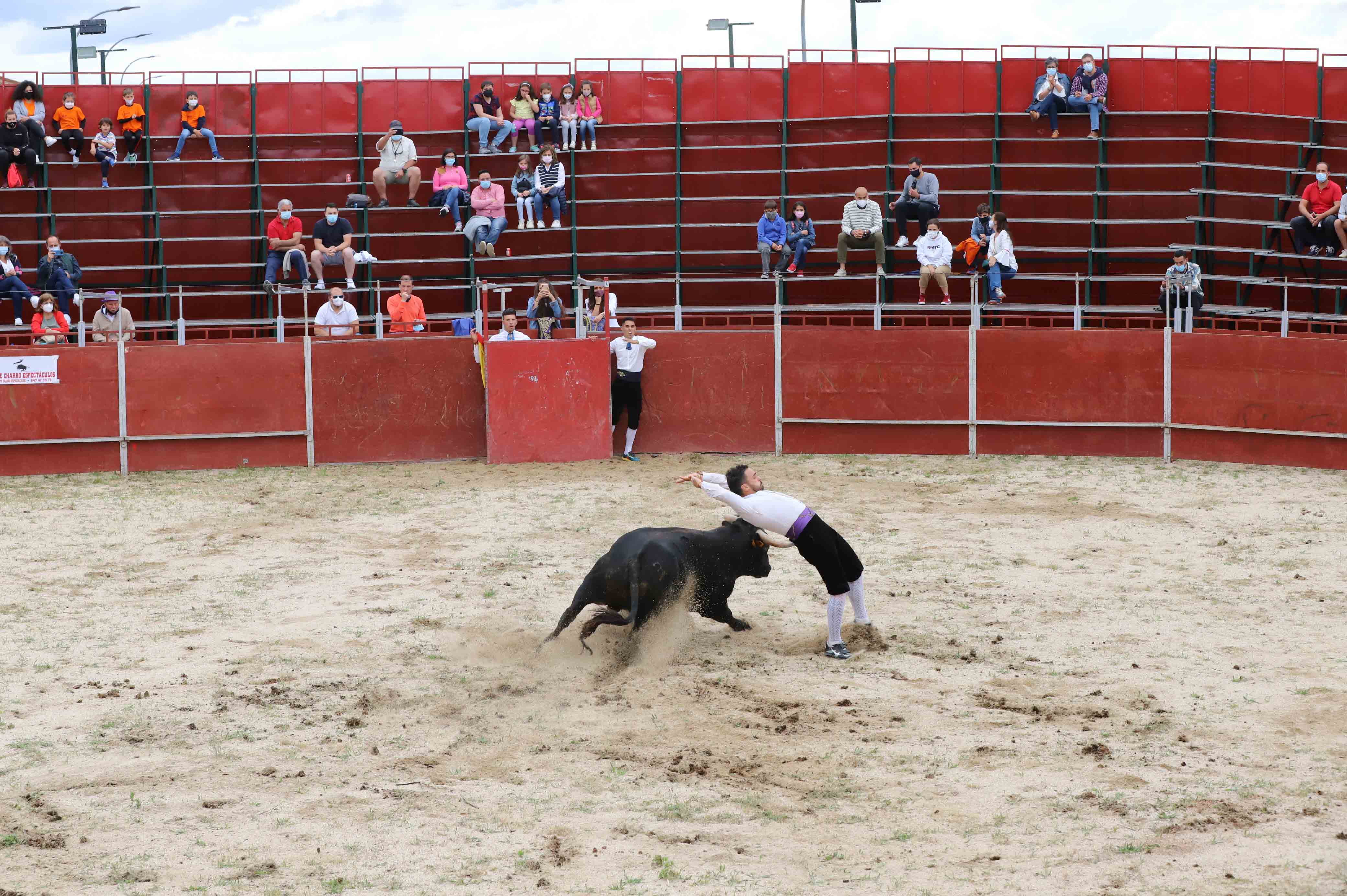 Concurso de recortes en Carrascal de Barregas