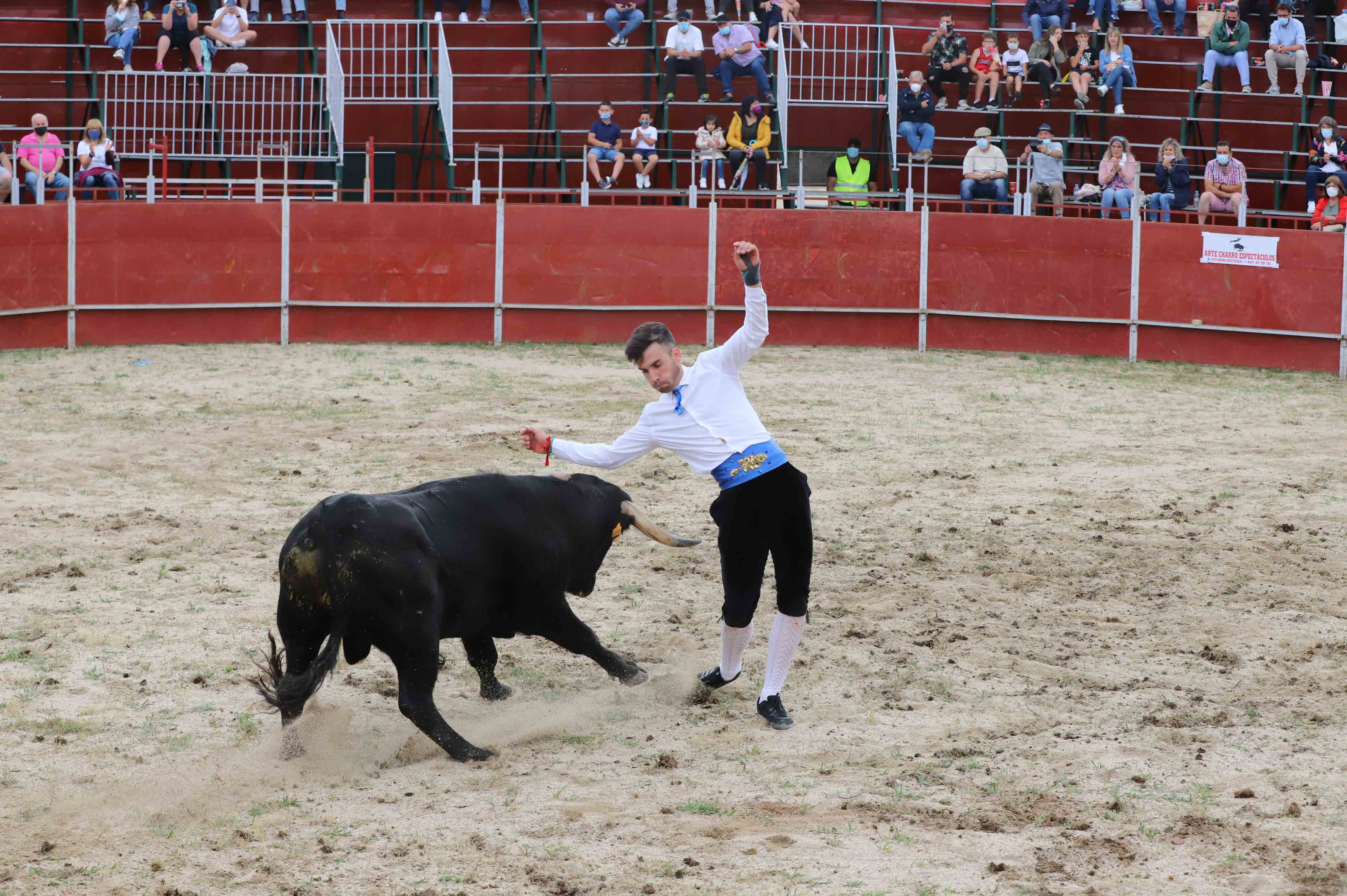 Concurso de recortes en Carrascal de Barregas