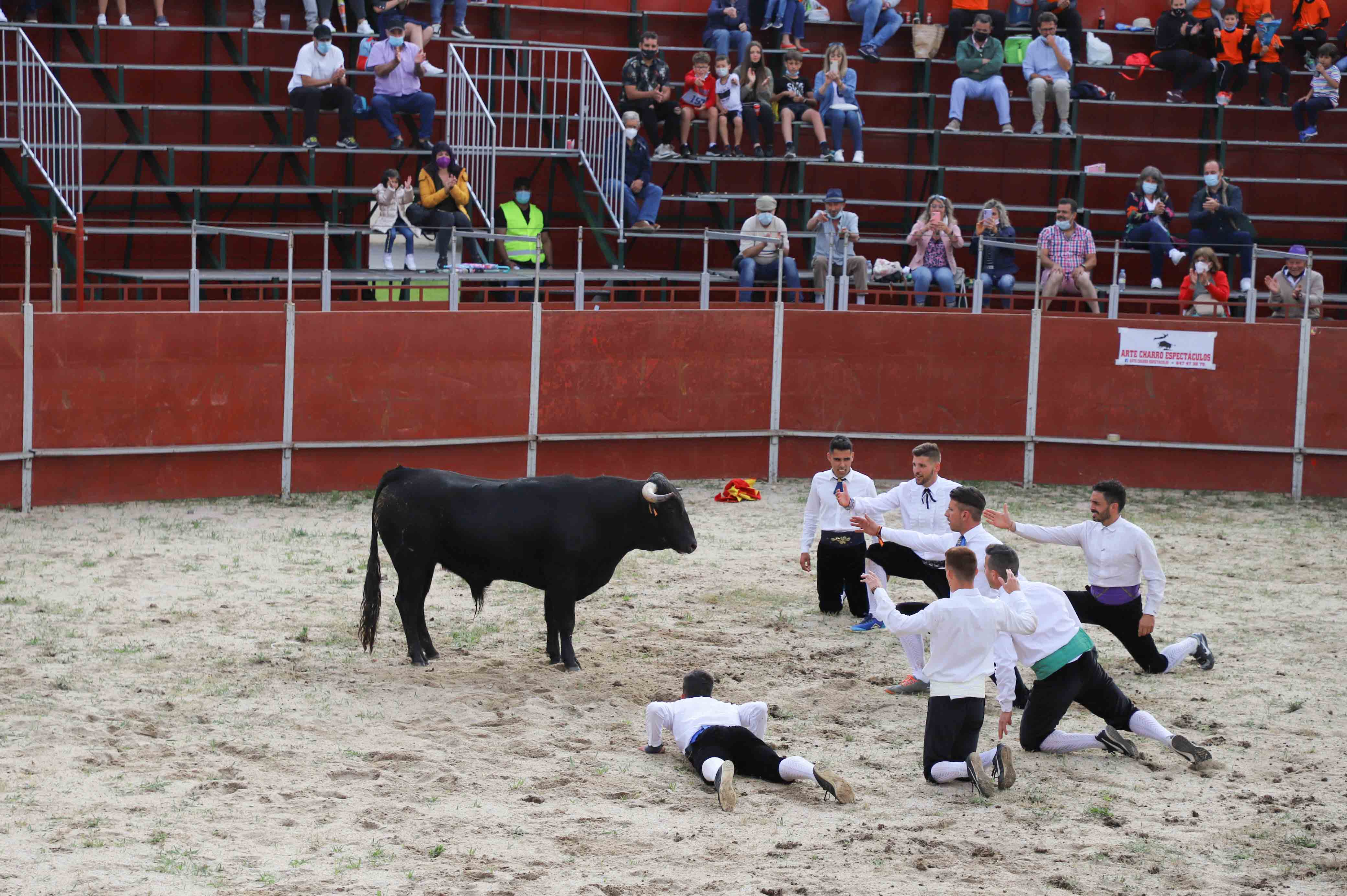 Concurso de recortes en Carrascal de Barregas