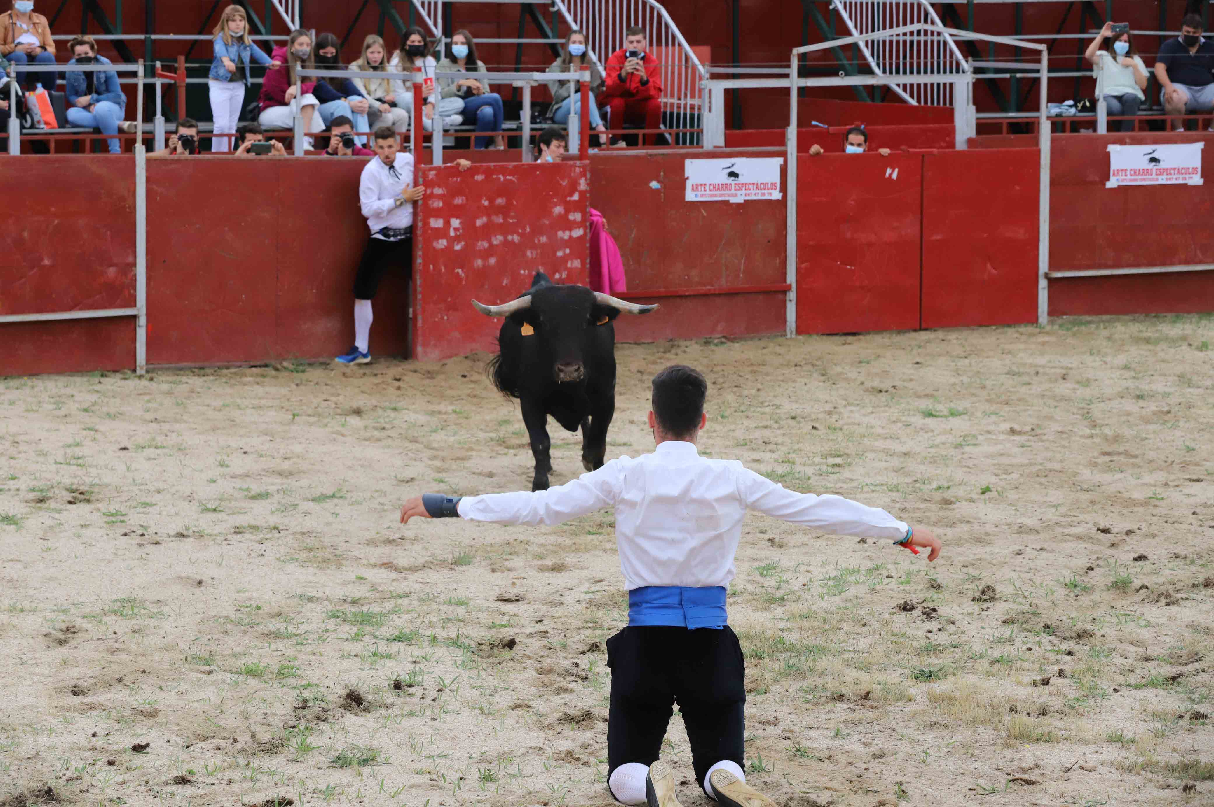 Concurso de recortes en Carrascal de Barregas