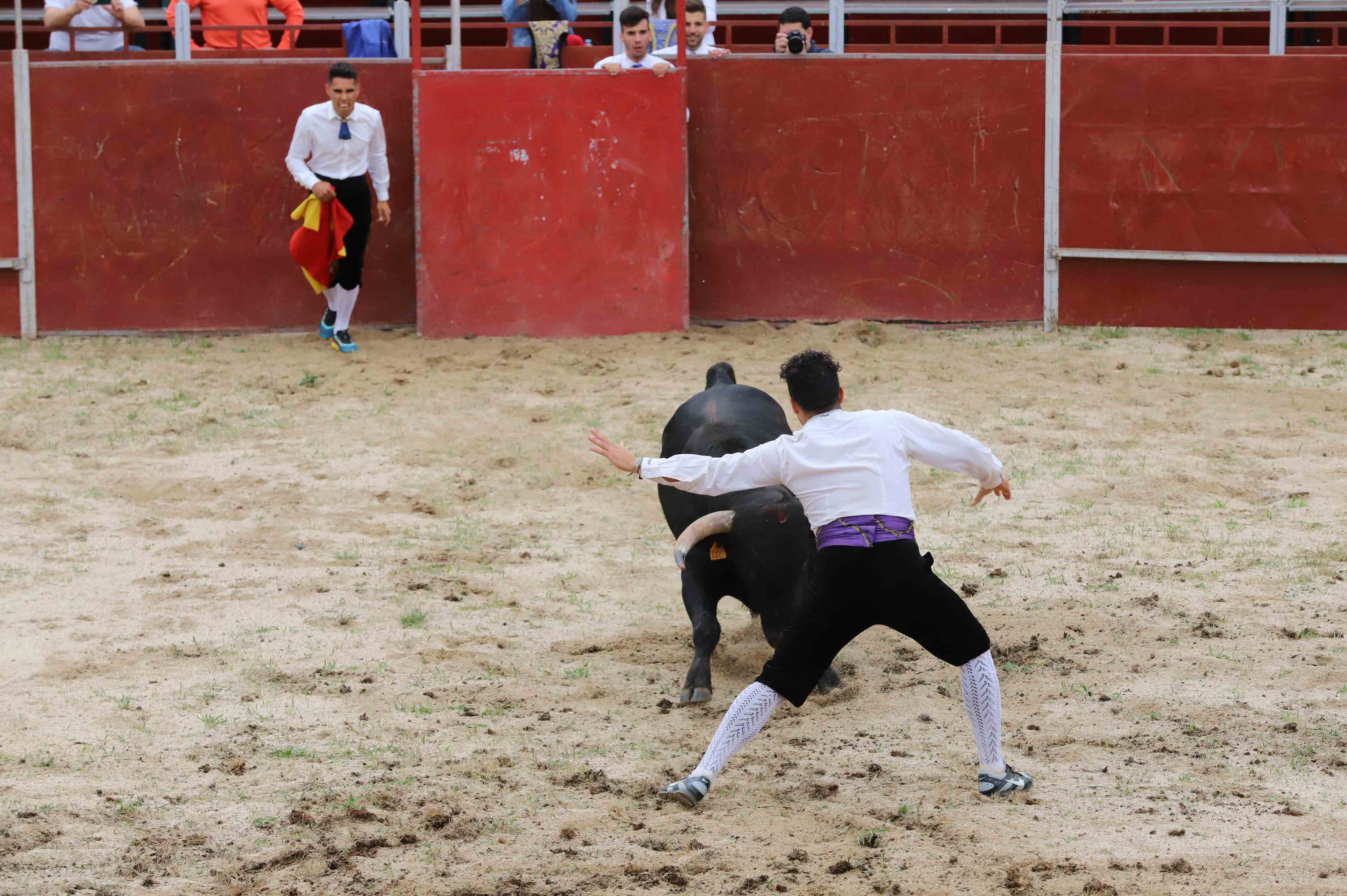 Concurso de recortes en Carrascal de Barregas