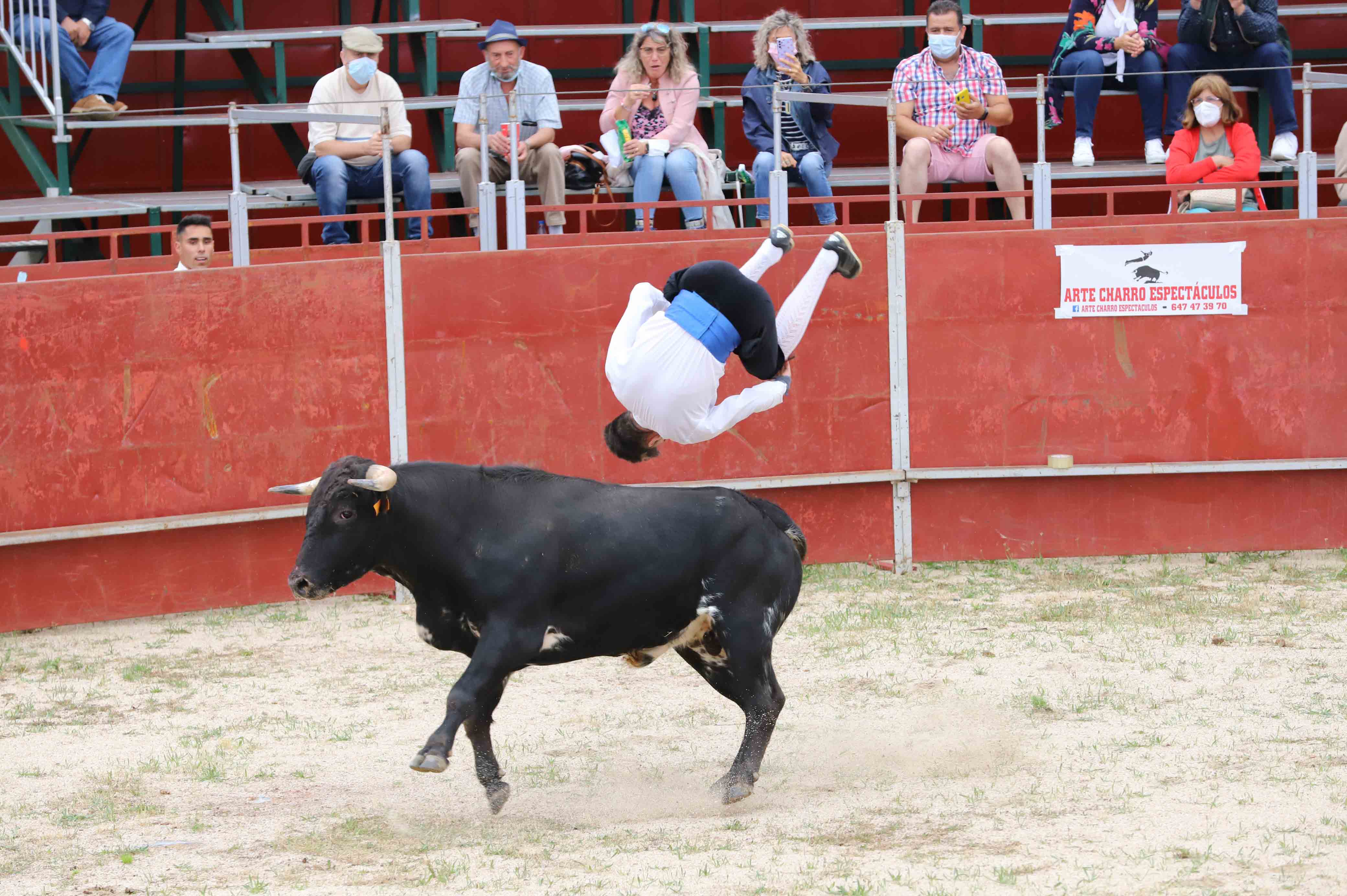 Concurso de recortes en Carrascal de Barregas