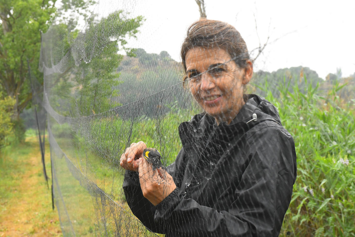 Fotos: Anillado de aves en Castronuño