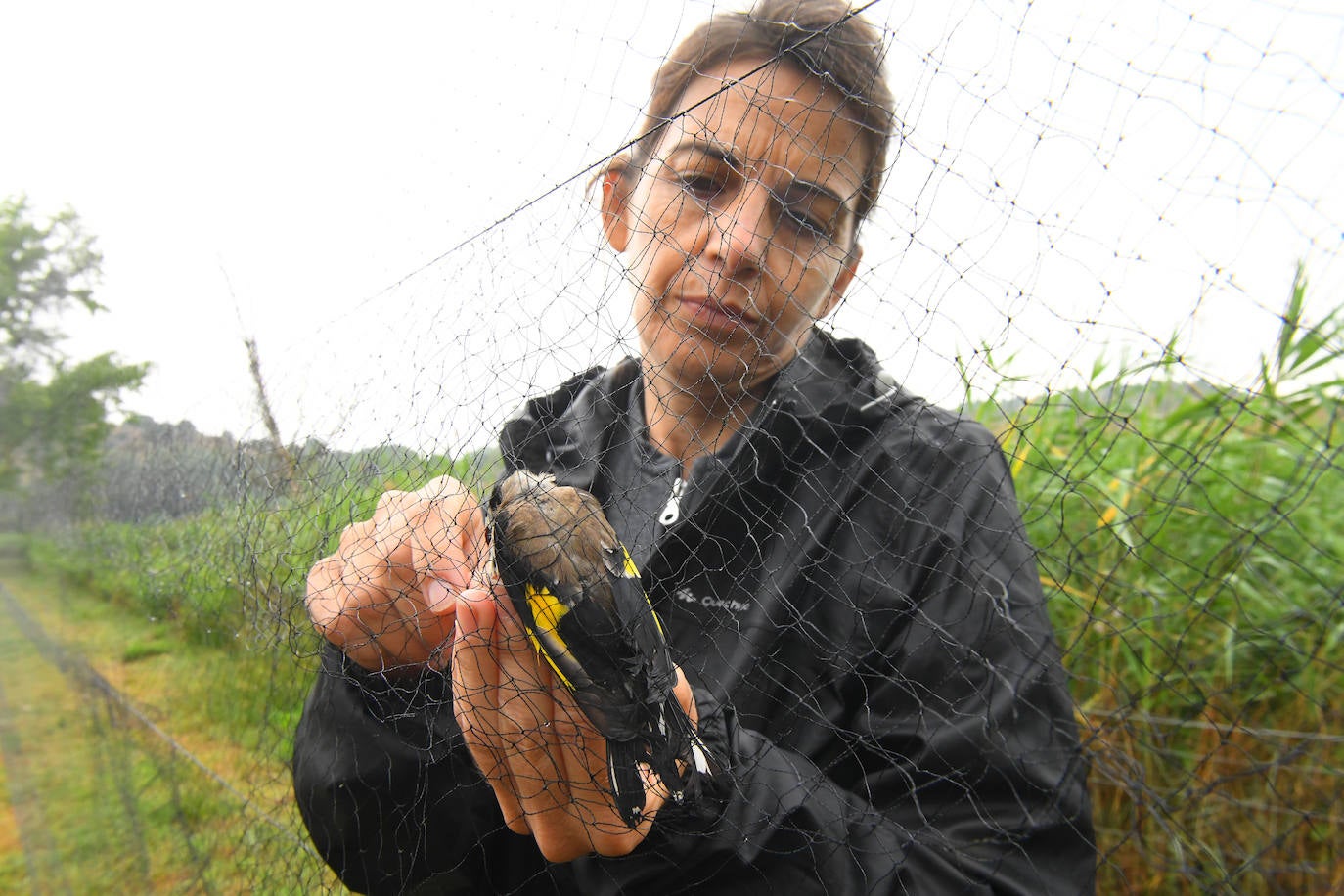 Fotos: Anillado de aves en Castronuño