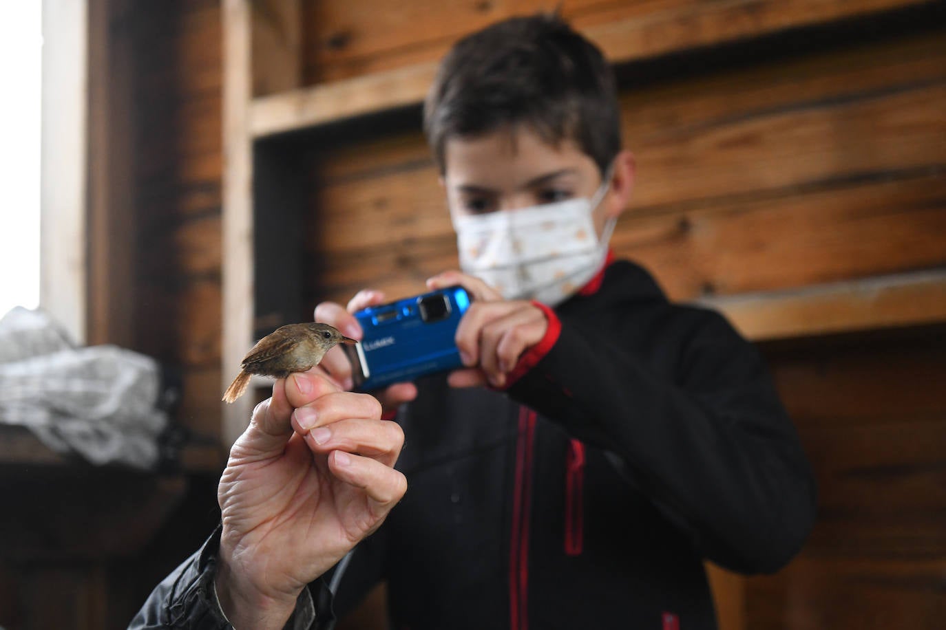Fotos: Anillado de aves en Castronuño