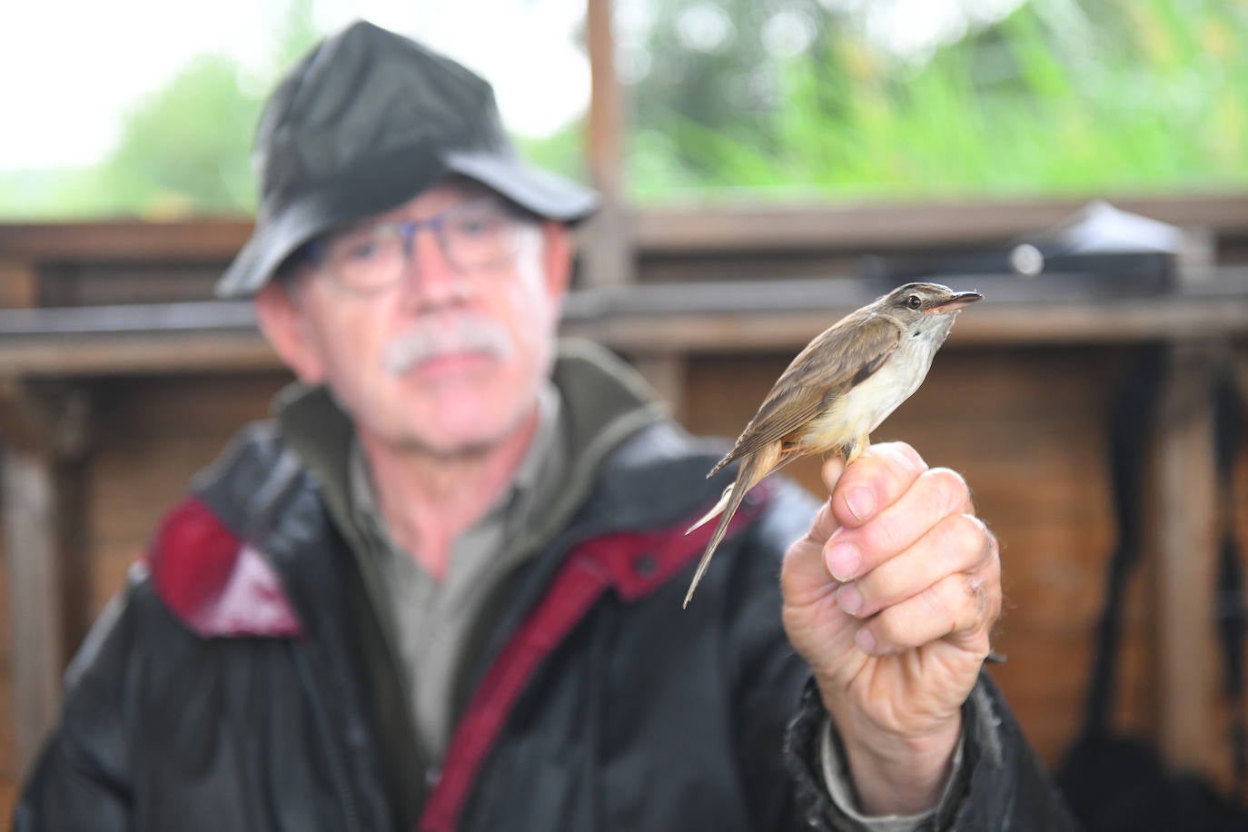 Fotos: Anillado de aves en Castronuño