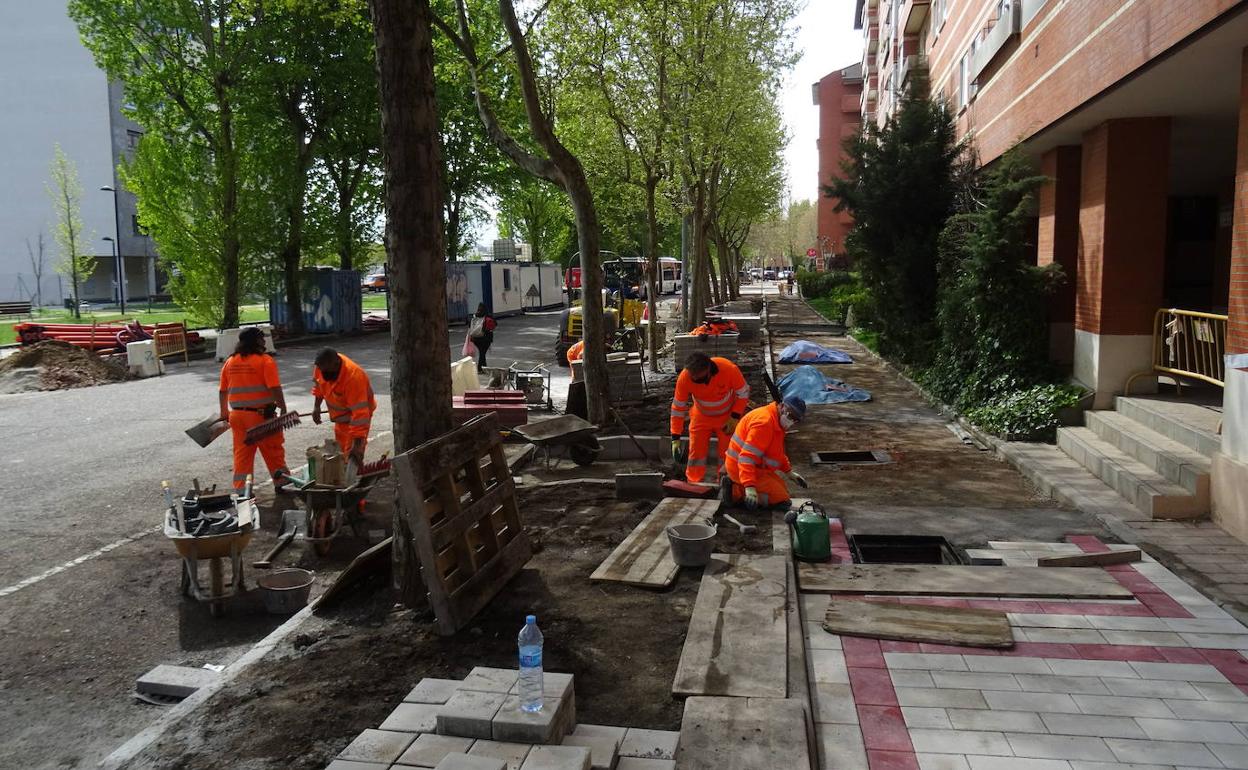 Obras en el paseo del Obregón de Valladolid.