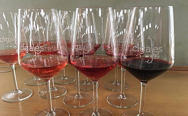 Vídeo: dos rosados y un tinto, en la segunda cata 'on-line' con la DO Cigales