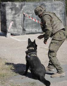 Imagen secundaria 2 - El Mando de Ingenieros de Salamanca ejecutó el Ejercicio &#039;INTERDICT 21&#039;