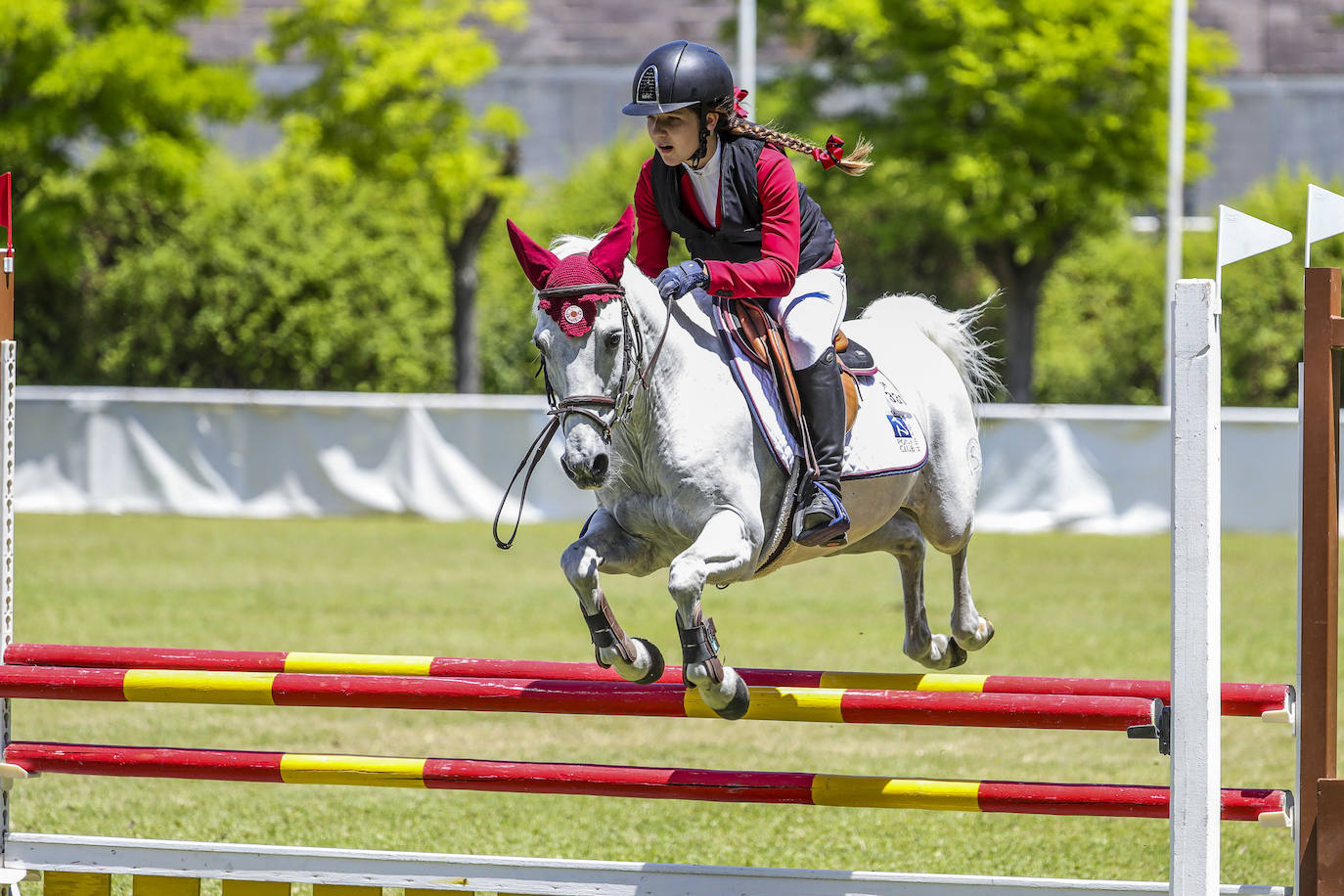 Fotos: Campeonato de España de Ponis celebrado en Valladolid
