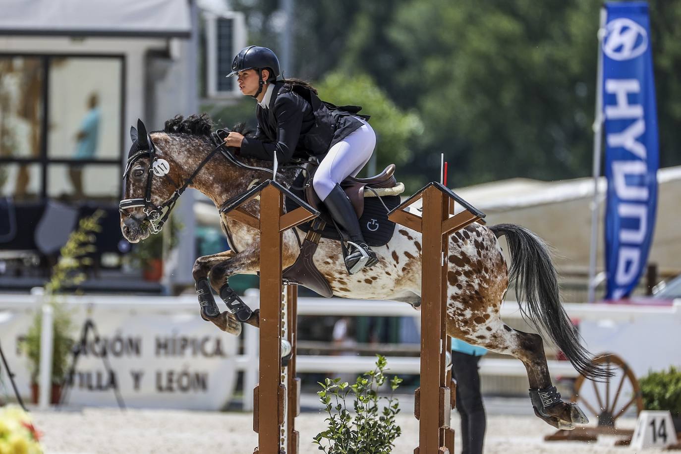 Fotos: Campeonato de España de Ponis celebrado en Valladolid