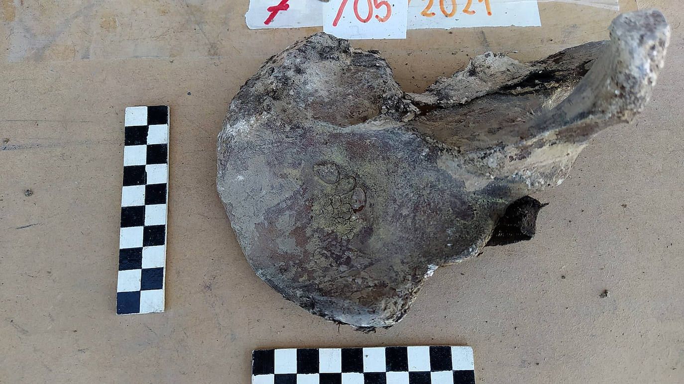 Fotos: Objetos hallados en el pozo de Medina del Campo del que se han rescatado treinta cuerpos de personas ejecutadas en la Guerra Civil