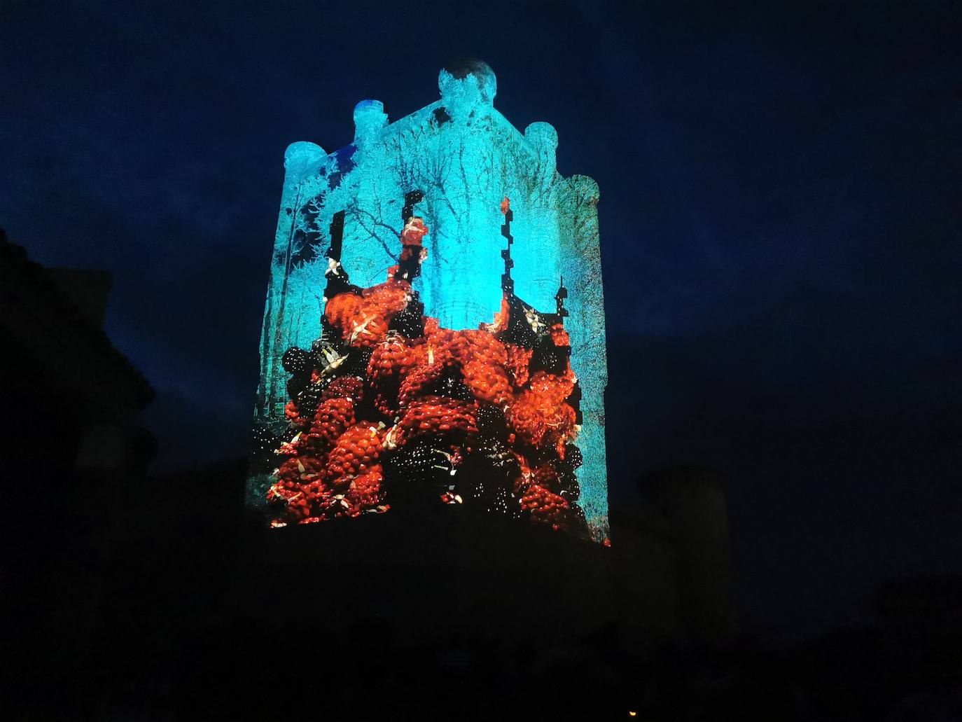 Fotos: Un videomapping recuerda en Torrelobatón la victoria de los comuneros en la localidad en 1521