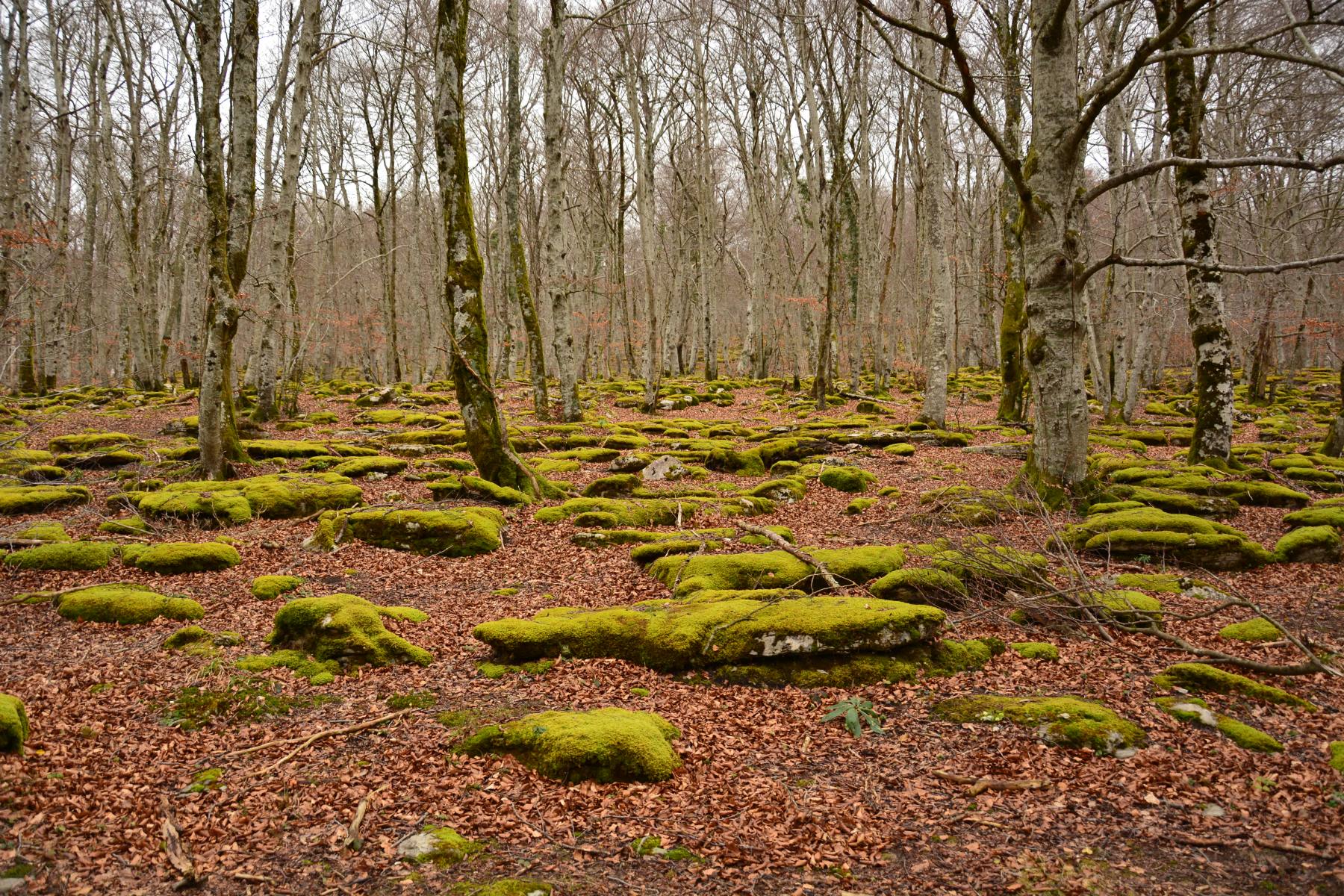 Fotos: El Monte Santiago, un lugar