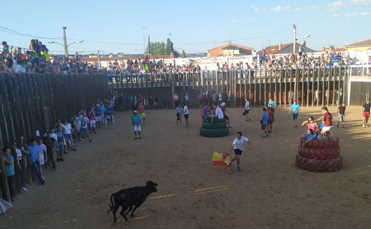 Becerrada celebrada en una edición anterior de las fiestas.