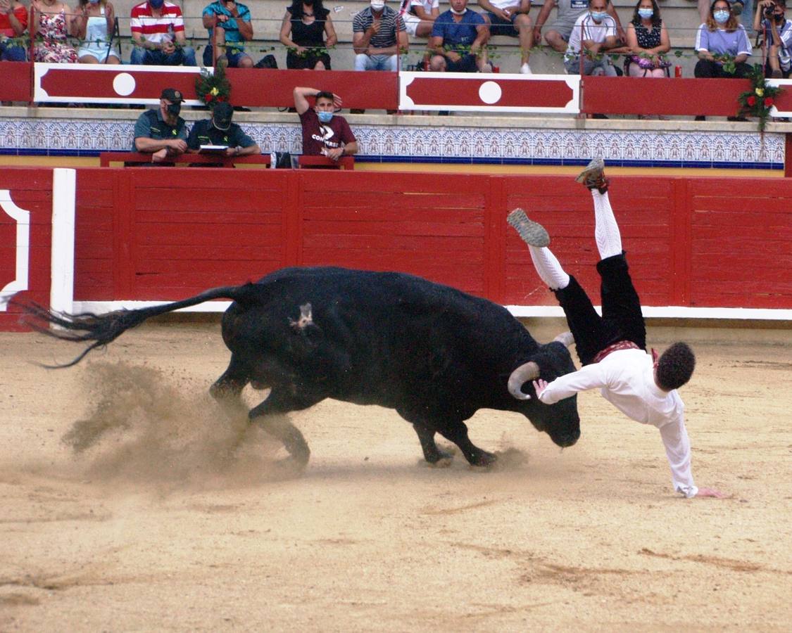 Fotos: Concurso goyesco de cortes de novillos de Pedrajas de San Esteban