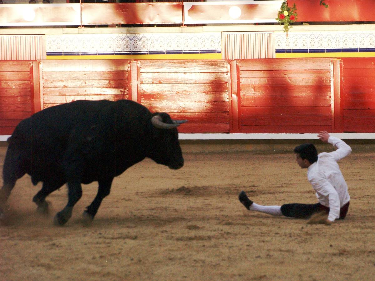 Fotos: Concurso goyesco de cortes de novillos de Pedrajas de San Esteban