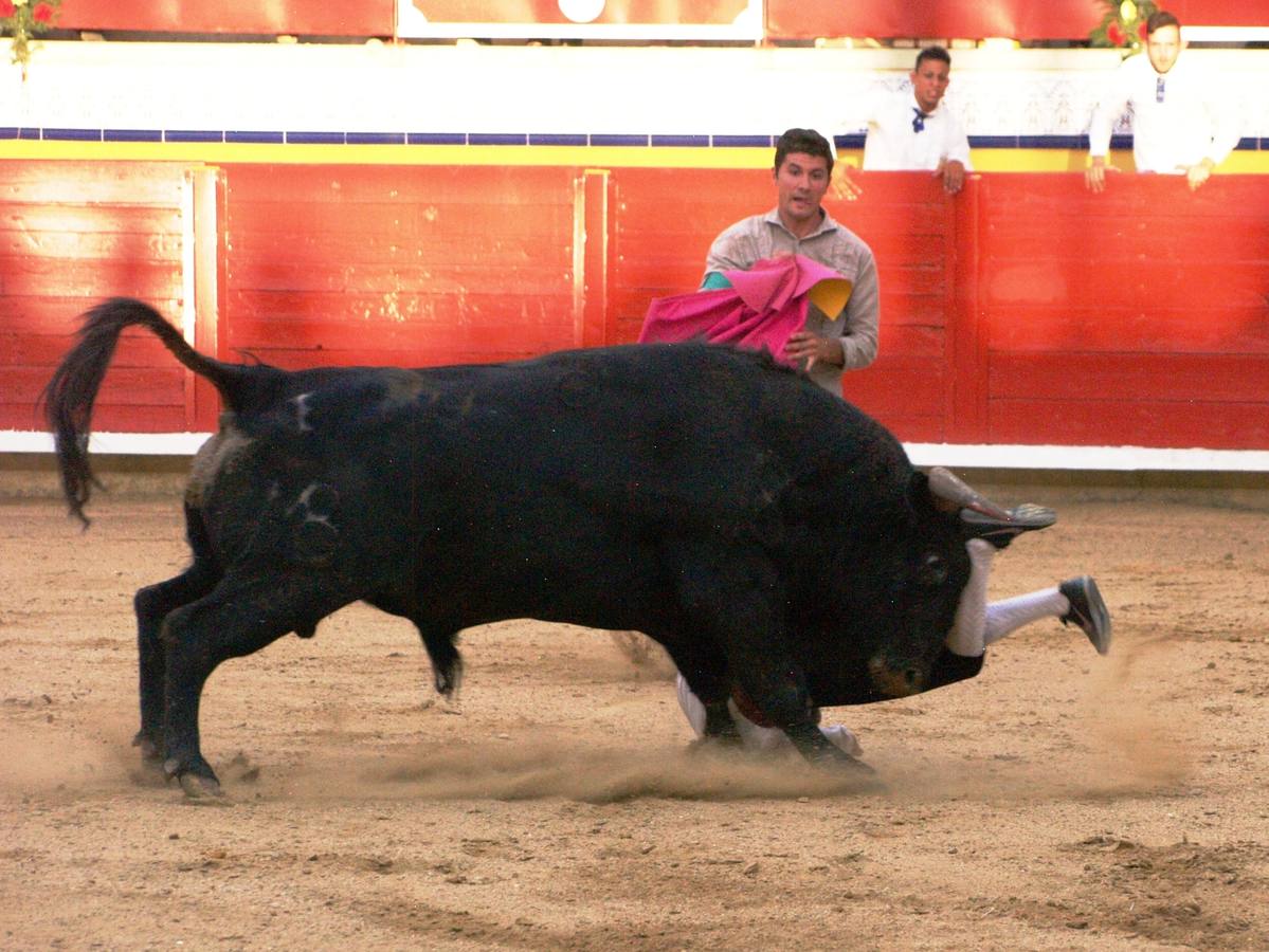 Fotos: Concurso goyesco de cortes de novillos de Pedrajas de San Esteban