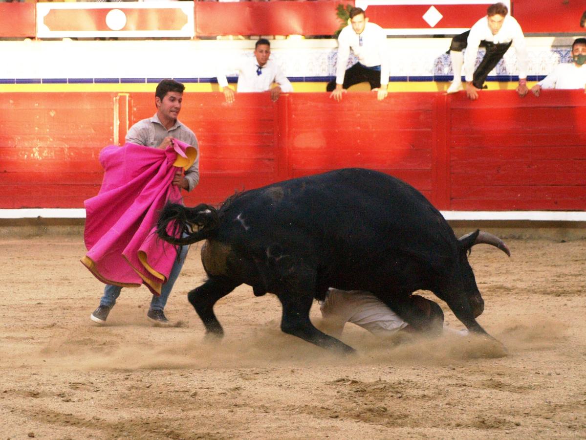 Fotos: Concurso goyesco de cortes de novillos de Pedrajas de San Esteban