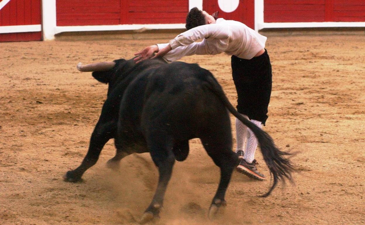 Óscar Calvo realiza un corte a uno de sus astados.