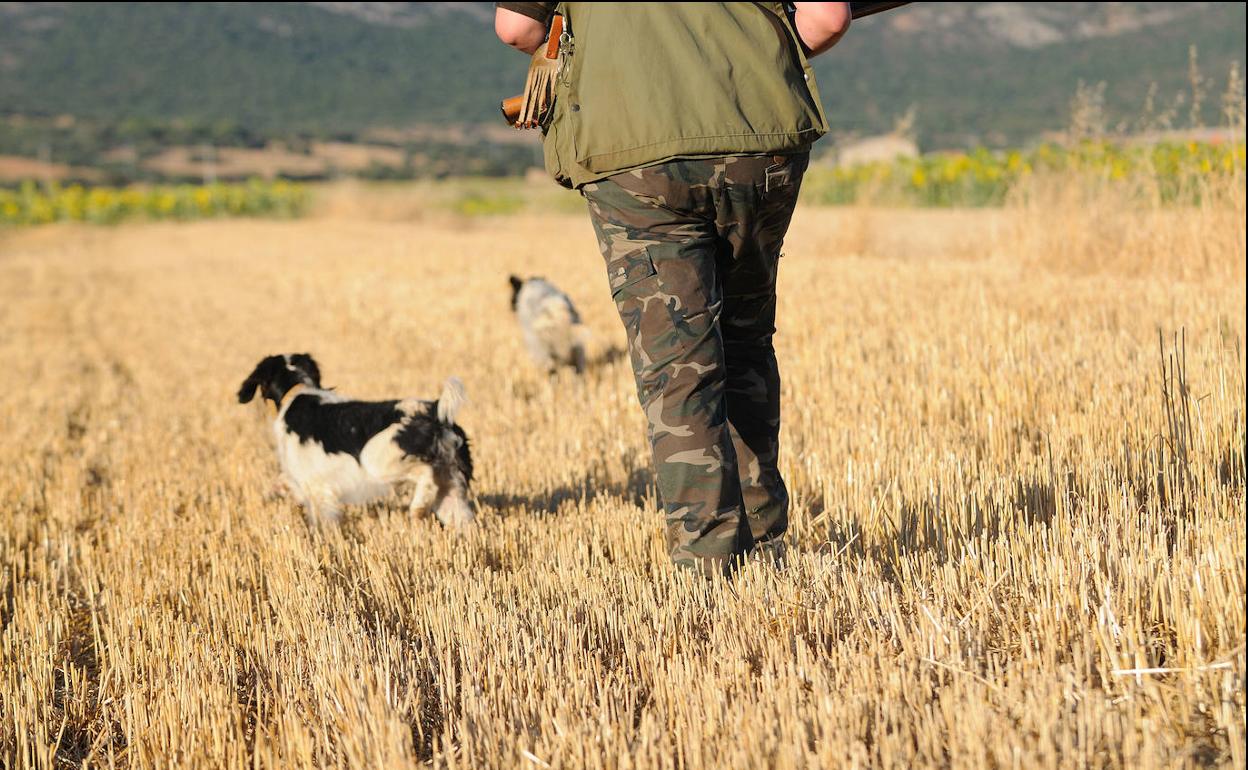 Un cazador y sus perros en busca de alguna pieza. 